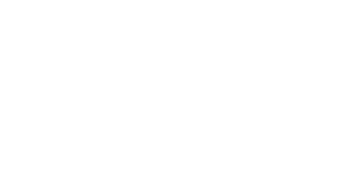 Logo Leroy Styles